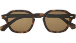 Rell S Hickory Tortoise