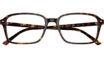Raimond Optics RB5431 2012