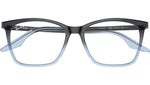 RB5422 Optics 8309
