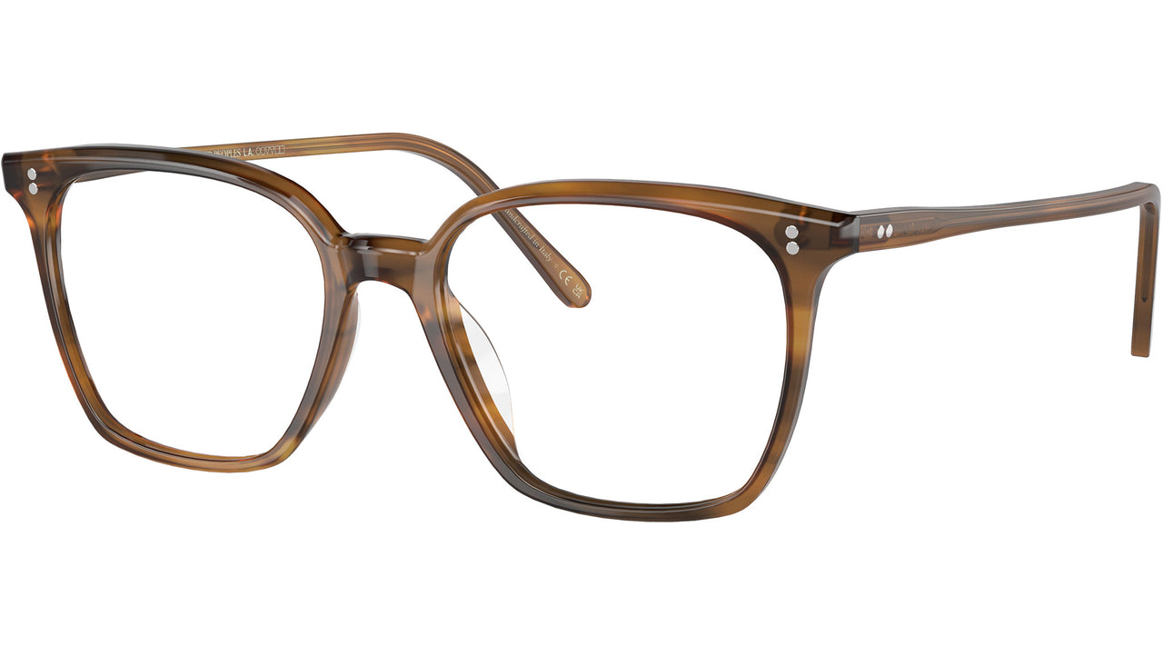Rasey OV5488U 1011 Raintree