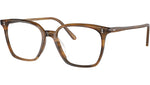 Rasey OV5488U 1011 Raintree