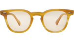 Dean C Honey Tortoise