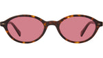 Feliz Sun Marigold Tortoise