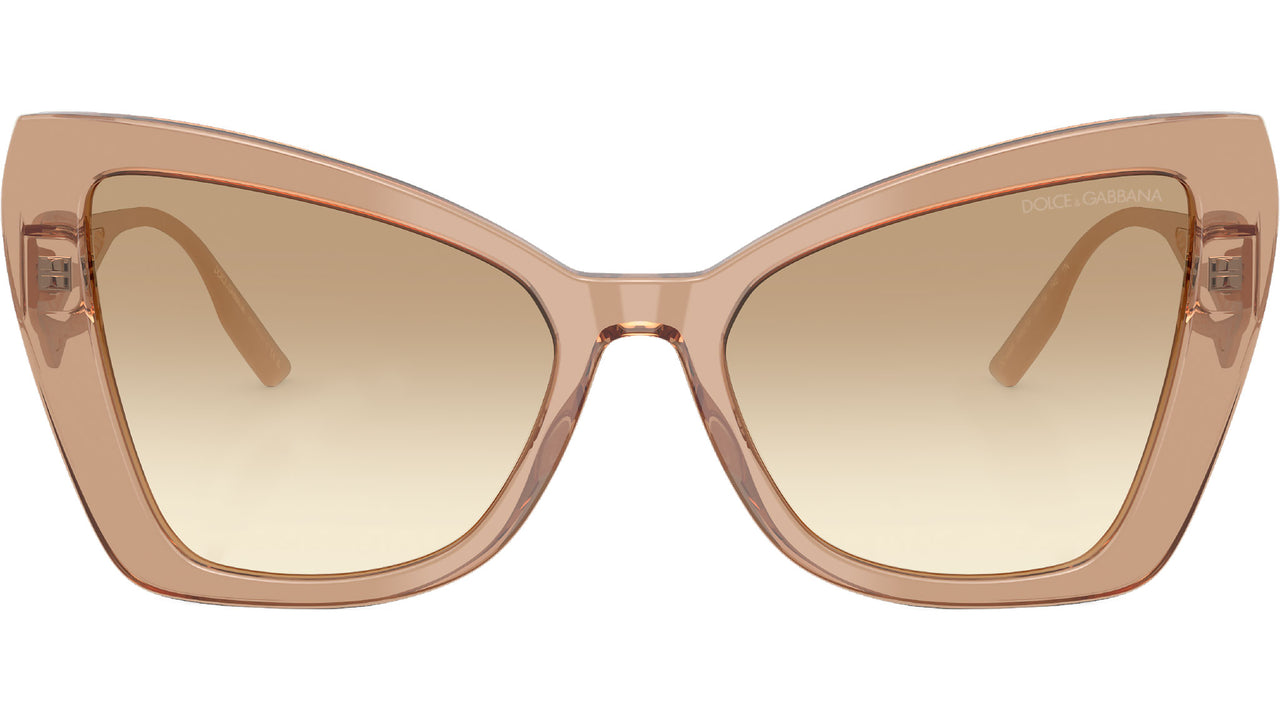 DG 4489 343213 Camel