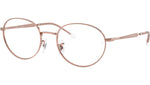 RB6558 Optics 2943