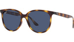 RB4378 710/80 tortoise