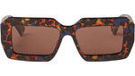 Chilensis Havana Brown