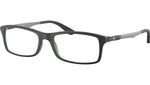 RB7017 Optics 5197