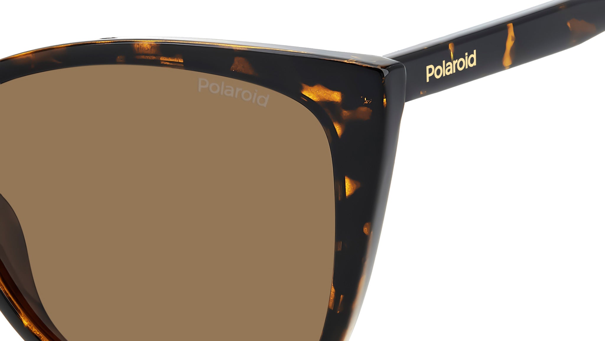 Polaroid PLD 4181/S 086 SP Sunglasses Havana - eye-oo.com