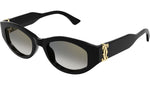 CT0667S 001