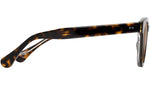 Cheetah 5 H842 10G Tortoise