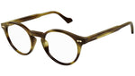 GG0738O 005 brown tortoise