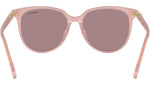 SK6023D 10311N