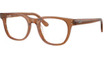 RB5461D Optics 8201