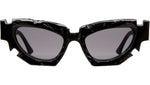 F5 Sun BM HO Black Hole