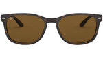 RB2184 tortoise