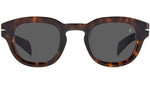 DB 7062/S Havana Grey