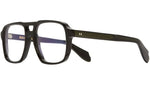 1394 Optical 13