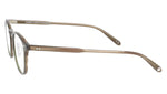 Hampton Olive Tortoise