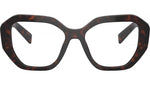 PR A07V 16N1O1 Tortoise