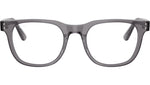 RB5461D Optics 8268