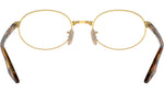 RB6481V Optics 2500