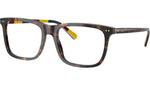 PH2282 6212 Dark Havana