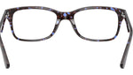 RB5228 Optics 8424