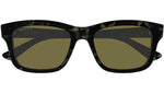GG2243S 003