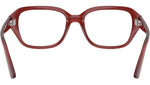 RB7258 Optics 8436