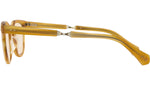 Dean C Honey Tortoise