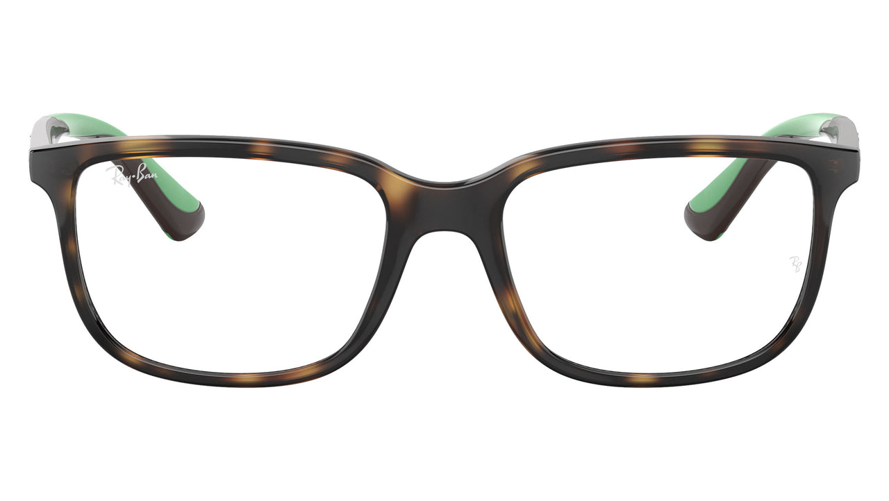 RY1605 3867 Tortoise