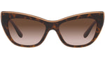 DG 4417 325613 tortoise