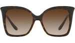 DG 6168 502/13 tortoise