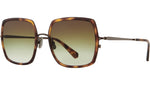 Cora S Yellowjacket Tortoise