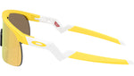 Resistor OJ9010 43