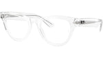 RB5510 Optics 2001