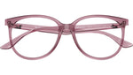RB4378V Optics 8413