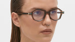 P27 DT Transparent Brown