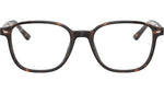 Leonard Optics RB5393 2012