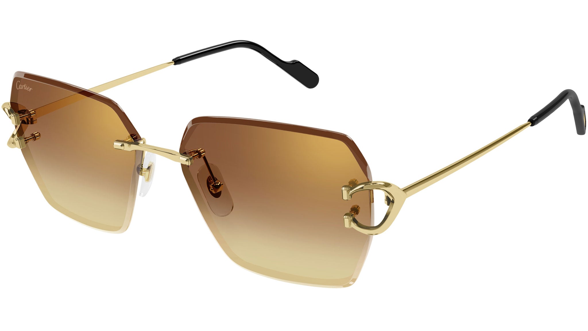 Cartier CT 0356 Sunglasses for WOMEN